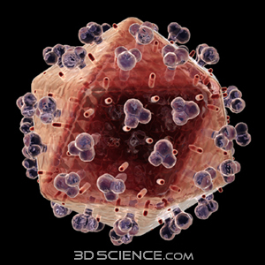 3d_model_biology_HIV_web1.jpg